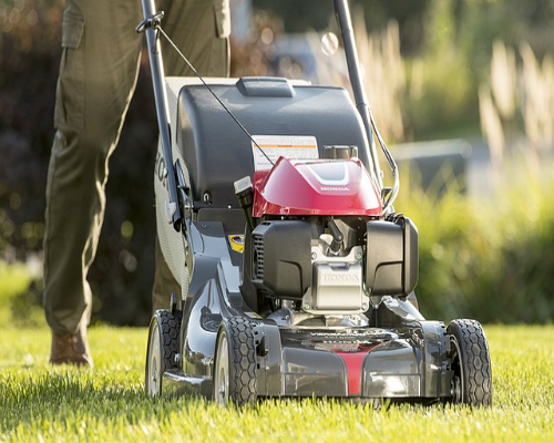 Yard Cleaning
